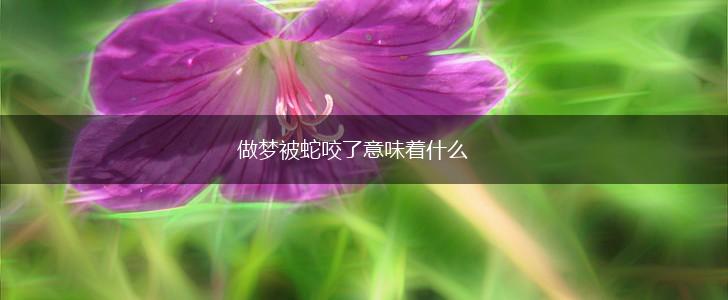 做梦被蛇咬了意味着什么,第1张