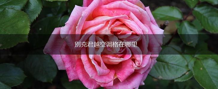别克君越空调格在哪里,第1张