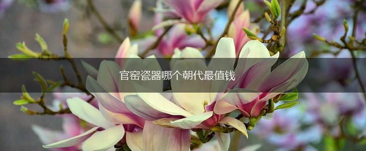 官窑瓷器哪个朝代最值钱,第1张