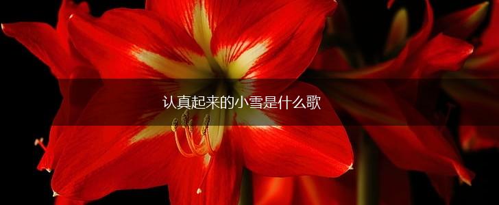 认真起来的小雪是什么歌,第1张