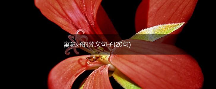 寓意好的梵文句子(20句),第1张