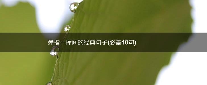 弹指一挥间的经典句子(必备40句),第1张