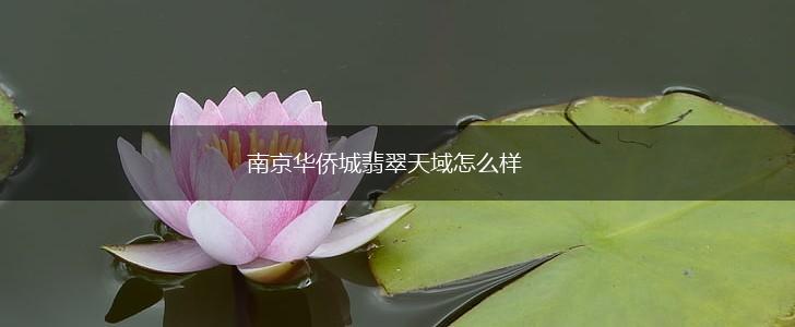 南京华侨城翡翠天域怎么样,第1张