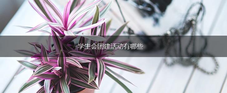 学生会团建活动有哪些,第1张