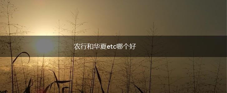 农行和华夏etc哪个好,第1张