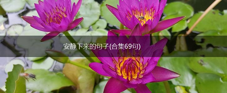 安静下来的句子(合集69句),第1张