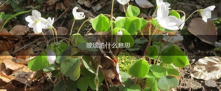 玻璃渣什么意思,第1张