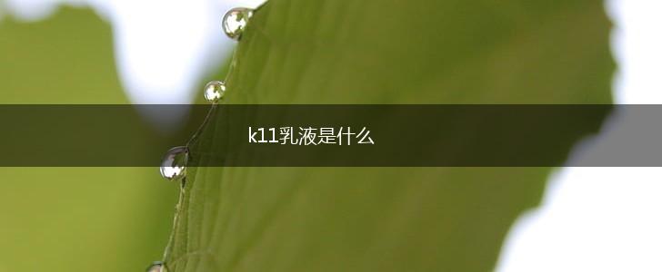 k11乳液是什么,第1张