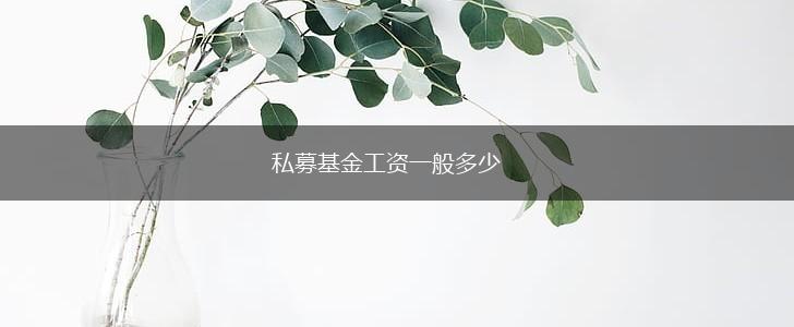 私募基金工资一般多少,第1张