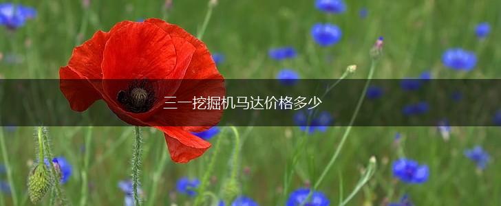 三一挖掘机马达价格多少,第1张