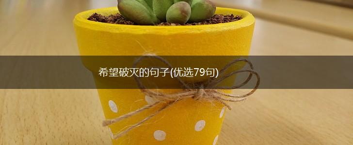 希望破灭的句子(优选79句),第1张
