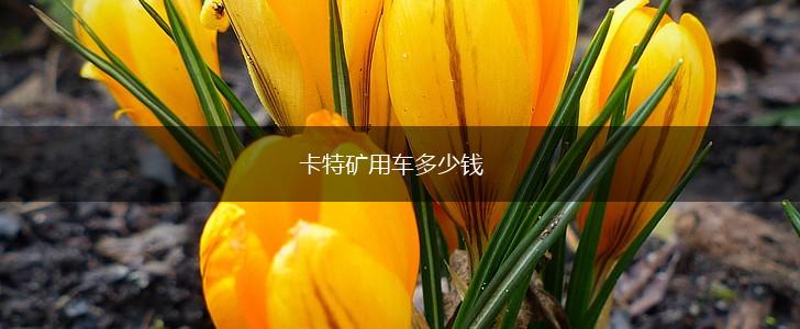 卡特矿用车多少钱,第1张