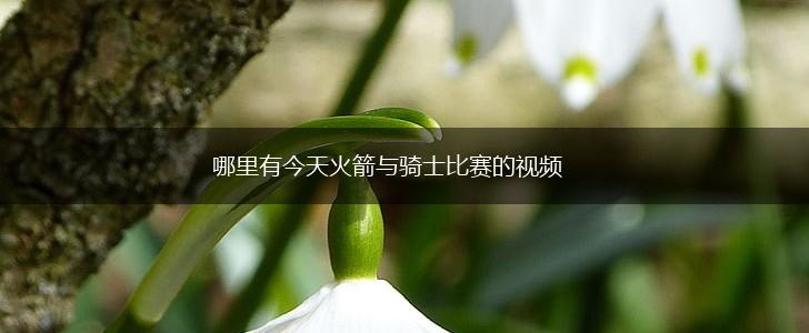 哪里有今天火箭与骑士比赛的视频,第1张