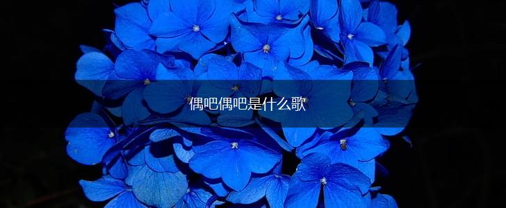 偶吧偶吧是什么歌,第1张