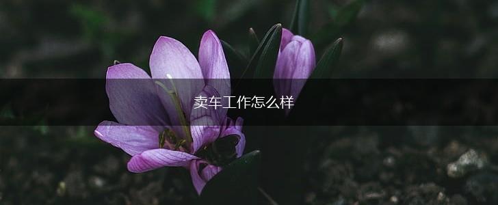 卖车工作怎么样,第1张