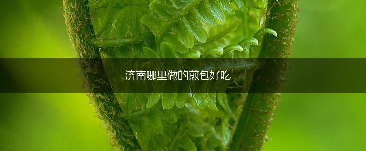 济南哪里做的煎包好吃,第1张