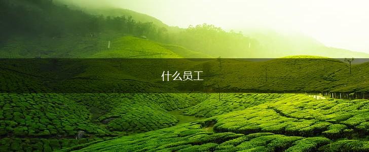 什么员工,第1张