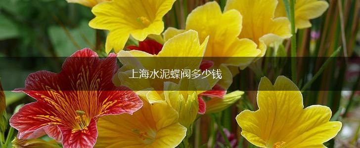 上海水泥蝶阀多少钱,第1张