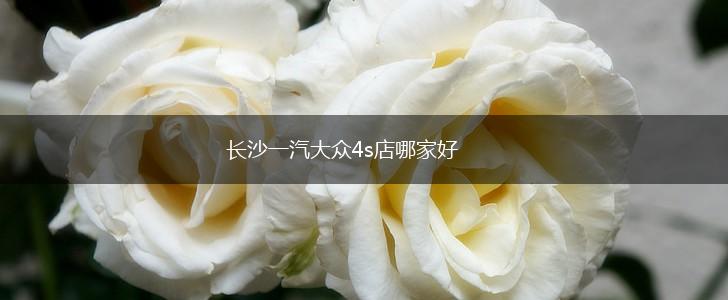 长沙一汽大众4s店哪家好,第1张