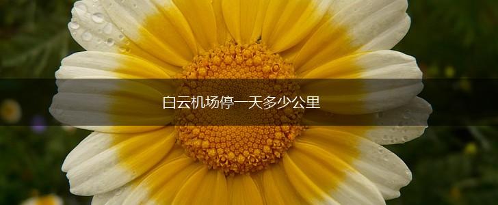 白云机场停一天多少公里,第1张