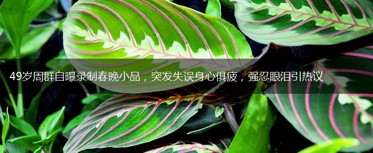 49岁周群自曝录制春晚小品，突发失误身心俱疲，强忍眼泪引热议,第1张