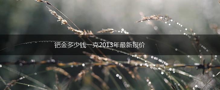 钯金多少钱一克2013年最新报价,第1张