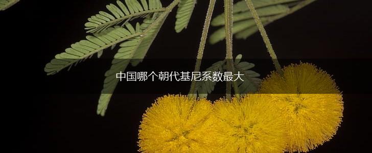 中国哪个朝代基尼系数最大,第1张