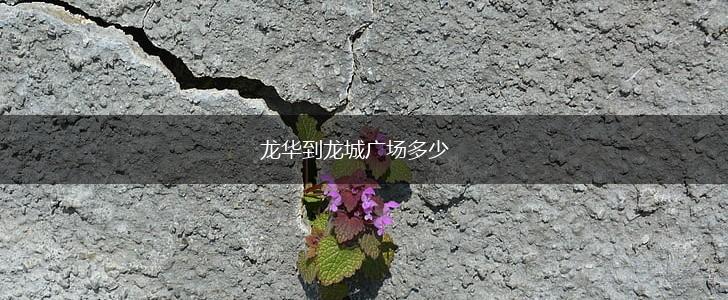 龙华到龙城广场多少,第1张