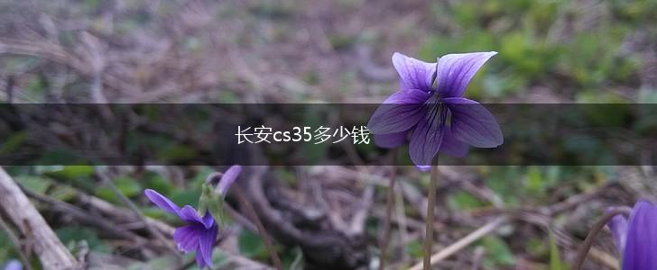 长安cs35多少钱,第1张