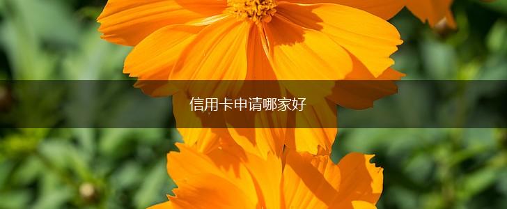 信用卡申请哪家好,第1张