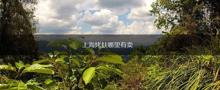 上海烤麸哪里有卖,第1张