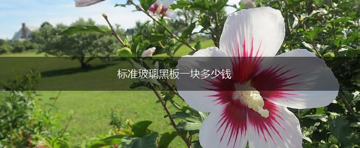 标准玻璃黑板一块多少钱,第1张