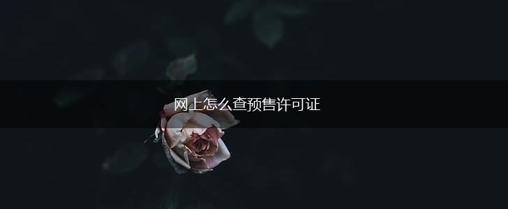 网上怎么查预售许可证,第1张