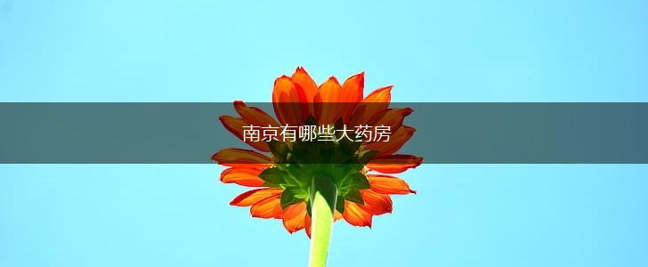 南京有哪些大药房,第1张