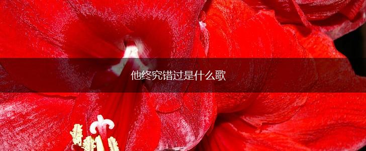 他终究错过是什么歌,第1张