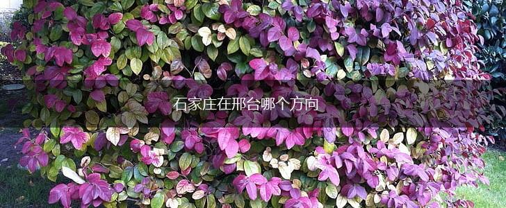 石家庄在邢台哪个方向,第1张