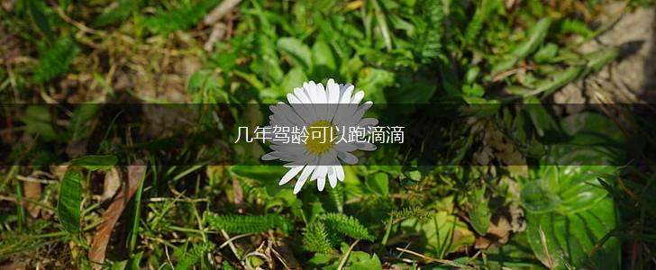 几年驾龄可以跑滴滴,第1张