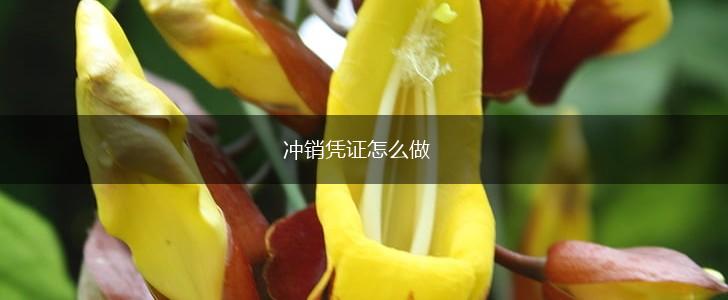 冲销凭证怎么做,第1张