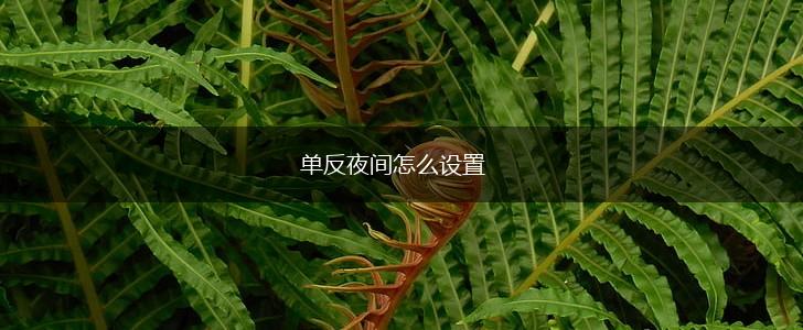 单反夜间怎么设置,第1张