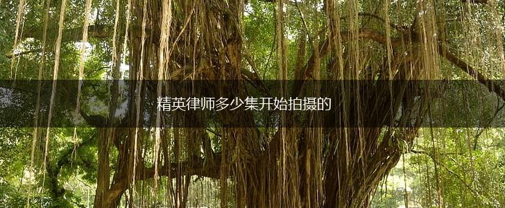 精英律师多少集开始拍摄的,第1张