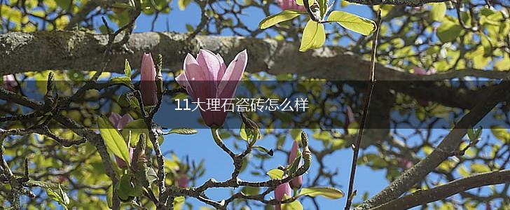 11大理石瓷砖怎么样,第1张