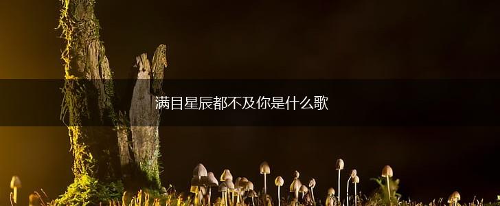 满目星辰都不及你是什么歌,第1张