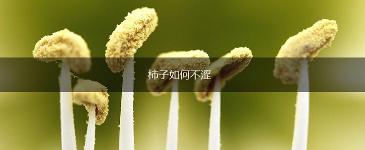 柿子如何不涩,第1张