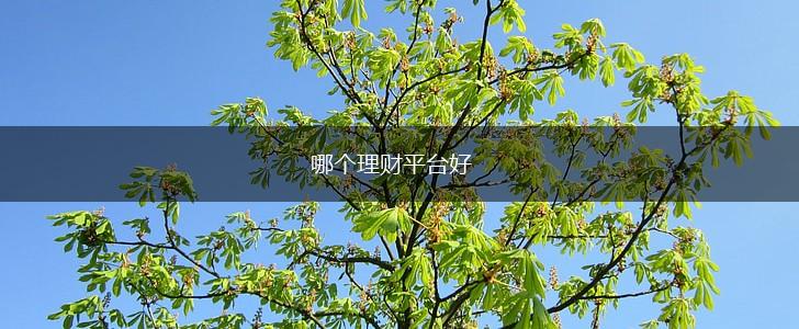 哪个理财平台好,第1张