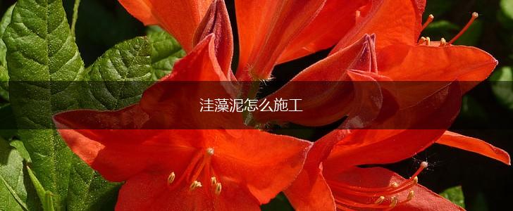 洼藻泥怎么施工,第1张