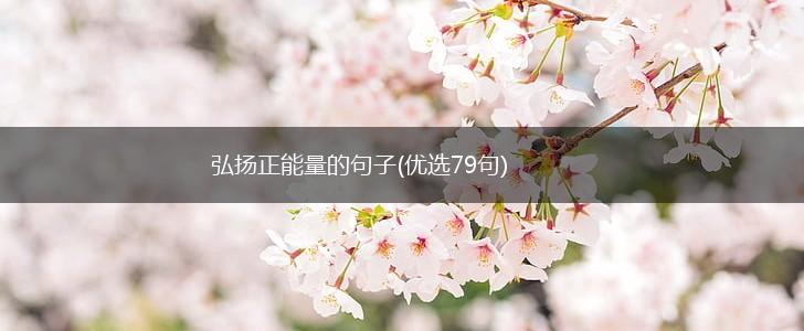 弘扬正能量的句子(优选79句),第1张