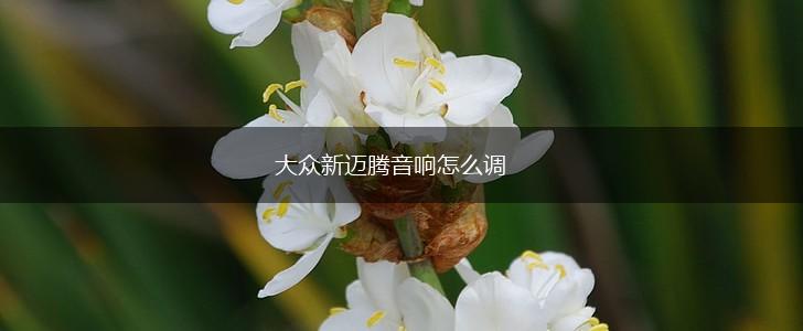 大众新迈腾音响怎么调,第1张