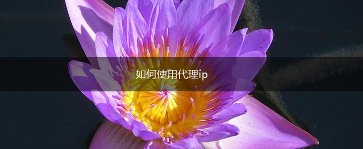 如何使用代理ip,第1张