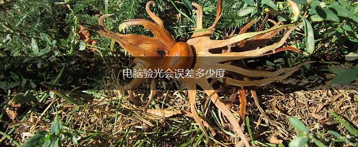 电脑验光会误差多少度,第1张