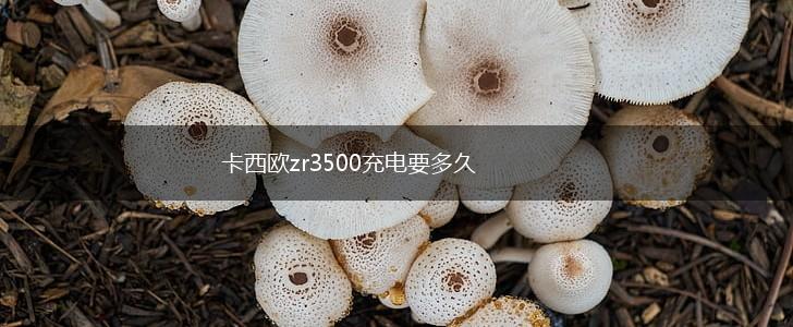 卡西欧zr3500充电要多久,第1张